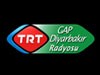 Listen TRT Gap Diyarbakir
