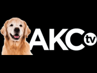 AKC TV Meet the Breeds