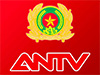 ANTV live