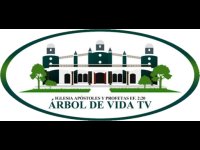 Arbol de Vida TV Live Watch