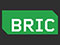 TV: BRIC TV