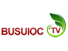 Busuioc TV live