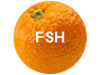 Fresh TV live