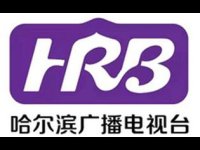 Harbin Comprehensive News Channel Live Watch