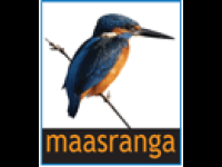 Maasranga TV Live Watch