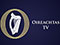 TV: Seanad