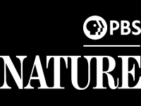 PBS Nature