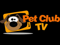Pet Club TV Live Watch
