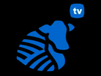Productiva TV Live Watch