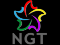 Rede NGT