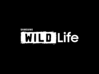 Samsung Wildlife