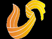 Shandong TV