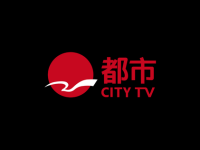 STV City