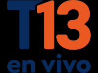 T13