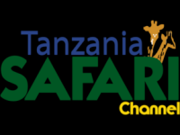 Tanzania Safari Channel Live Watch