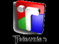 Teleunion