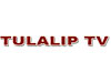 Tulalip TV
