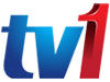 RTM 1