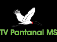 TV Pantanal MS