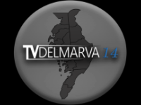 W14DK-D 14.1