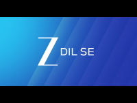 Zee Dil Se